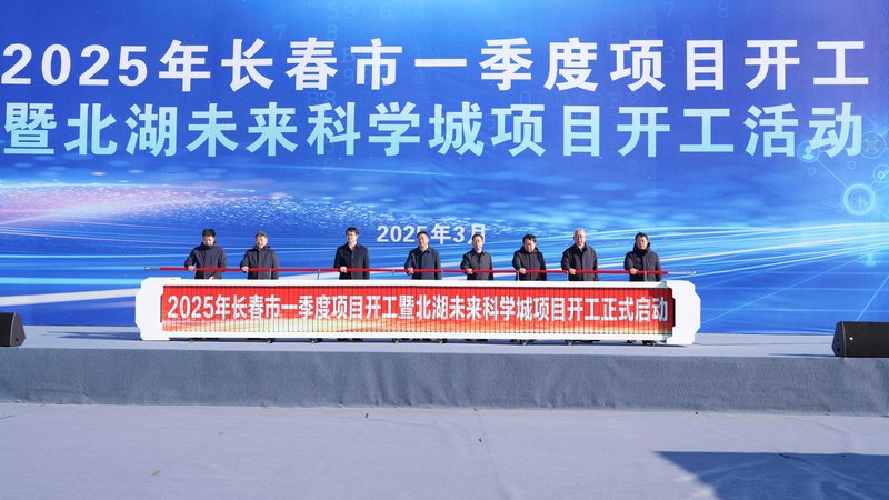 苯甲酸钠：揭秘其价格背后的因素**