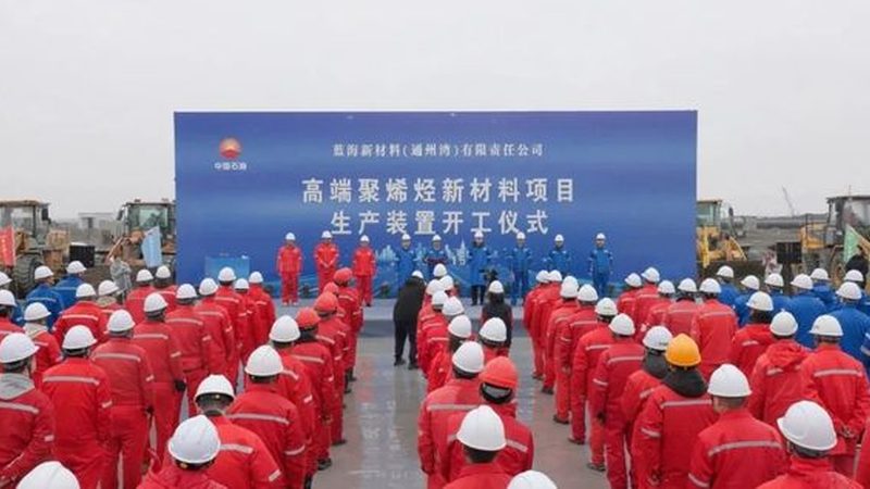 外墙涂料助剂：揭秘其常用规格参数与选择要点
